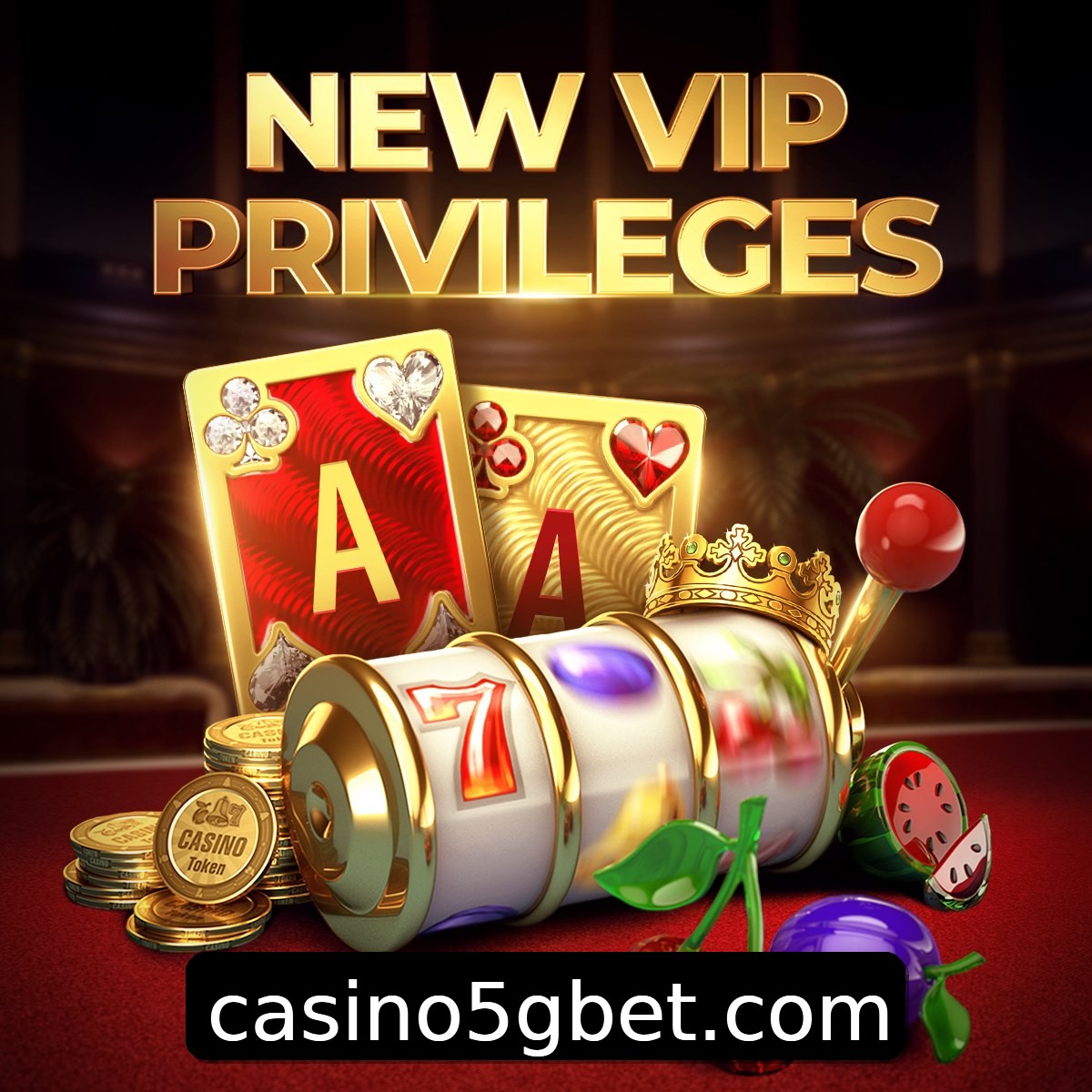 Programa VIP 5gbet